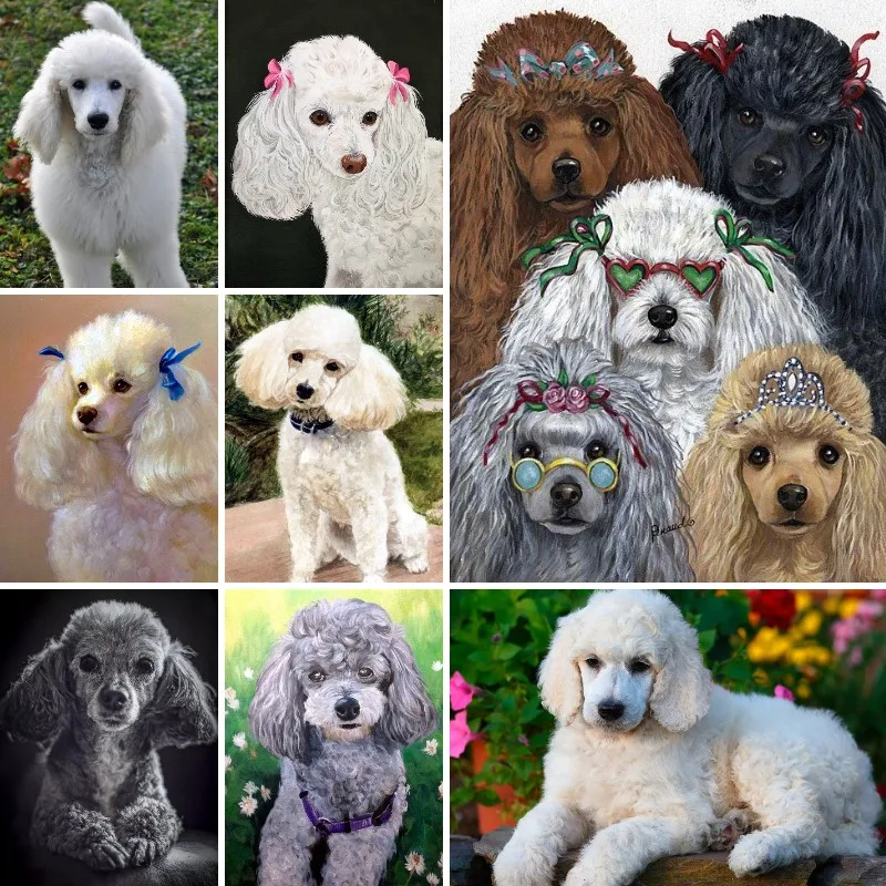 Diy 5d Diamond Painting Full Drill Pet Portrait Poodle Dogs Diamond