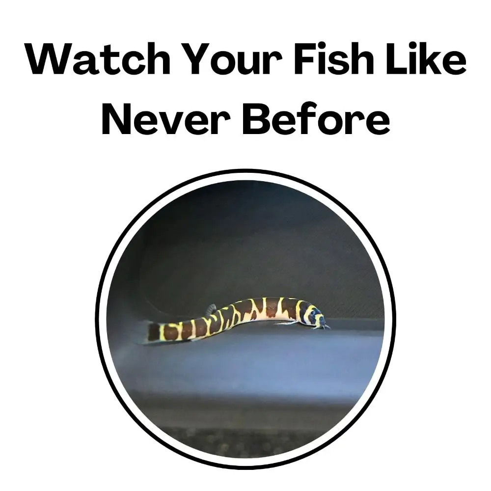 Multifunctional Aquarium Underground Tunnel Cave Curve Fish Tank Decoration Two Hole Fish Tank Decor Under Gravel Tunnel 3