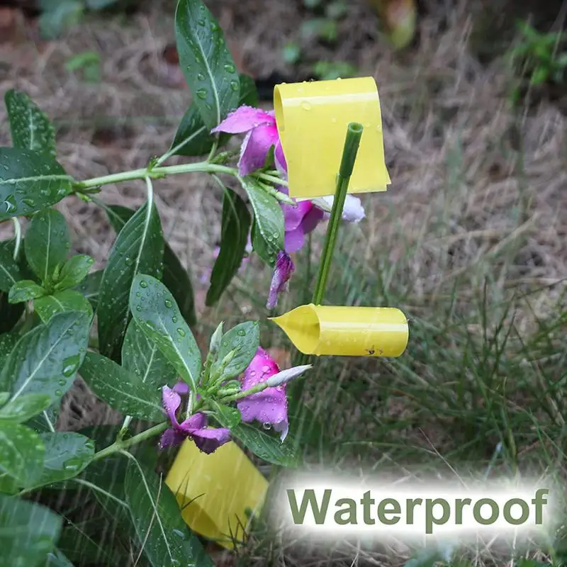 Pièges Colle Anti Punaises De Lit - Lot De 12 - Détection 24h/7j Non Toxique