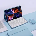 Misty Blue and Mouse