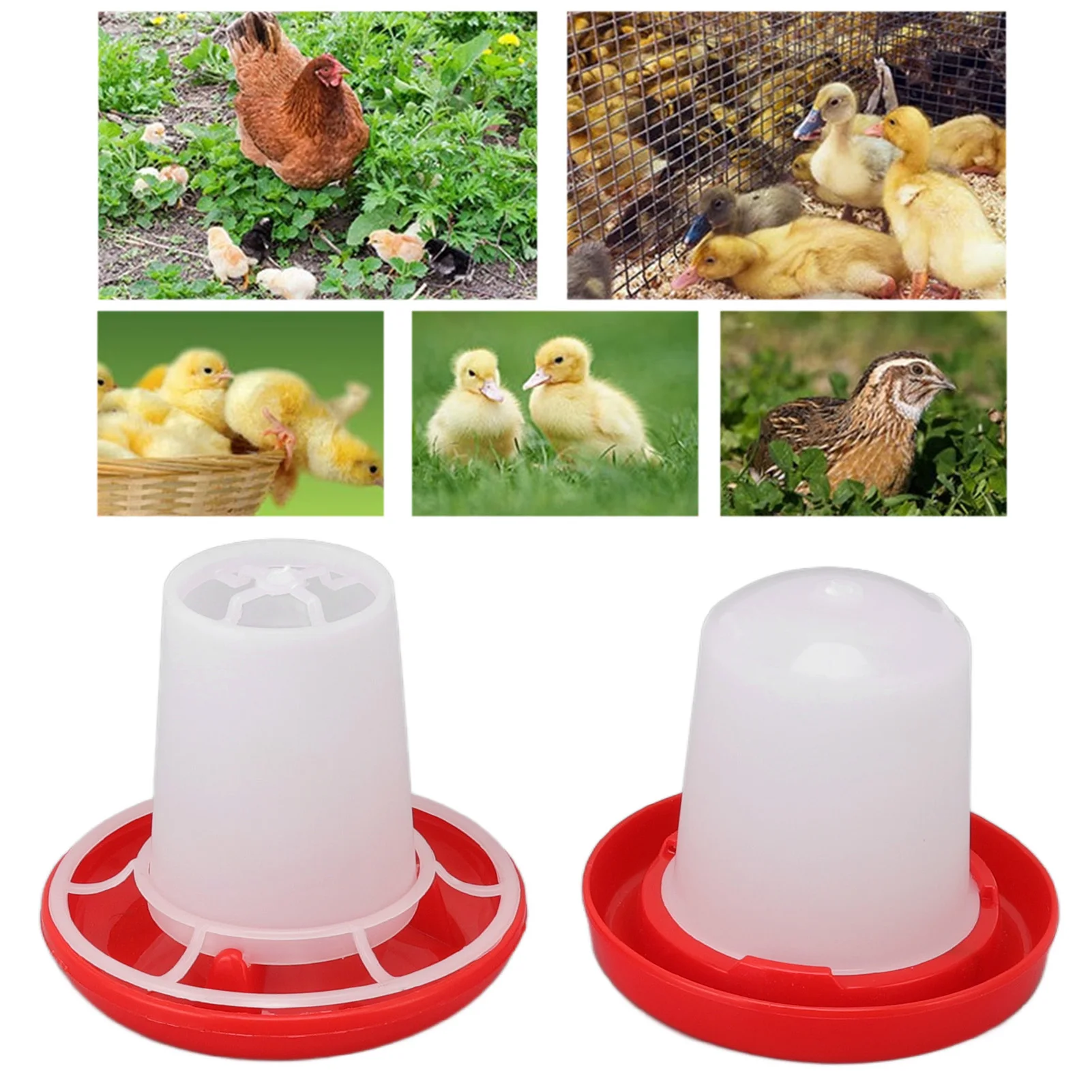 Chick Feeder and Waterer Kit Rotary Sleeve Design Automatic Feeding and Watering Poultry Feeder Waterer Combo Poultry poultry feeder poultry waterer