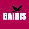 BAIRIS Beauty Leader Store