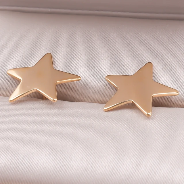 Five-Pointed Star Stainless Steel Earrings 5