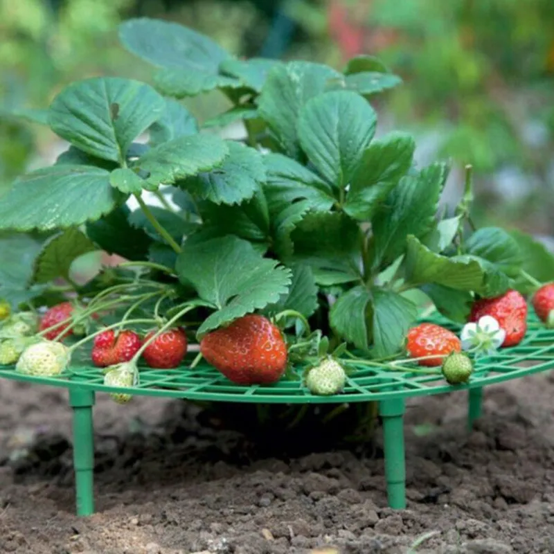 

Strawberry Stand Frame Holder, Balcony Planting Rack, Fruit Support, Flower Climbing Vine Pillar, Gardening Stand, 1Pc
