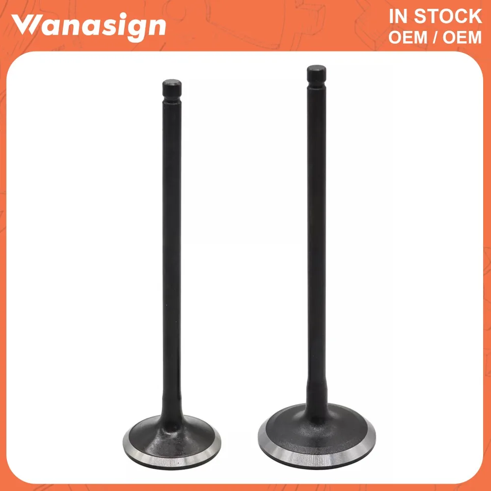 Valves And Gaskets Set Full Gasket Set & Intake/Exhaust Valves For