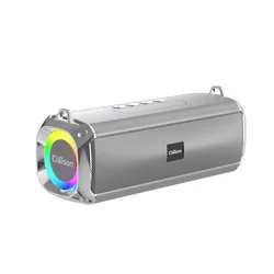 Compact Wireless Bluetooth Speaker with Dual Diaphragm and Enhanced Bass (GY)