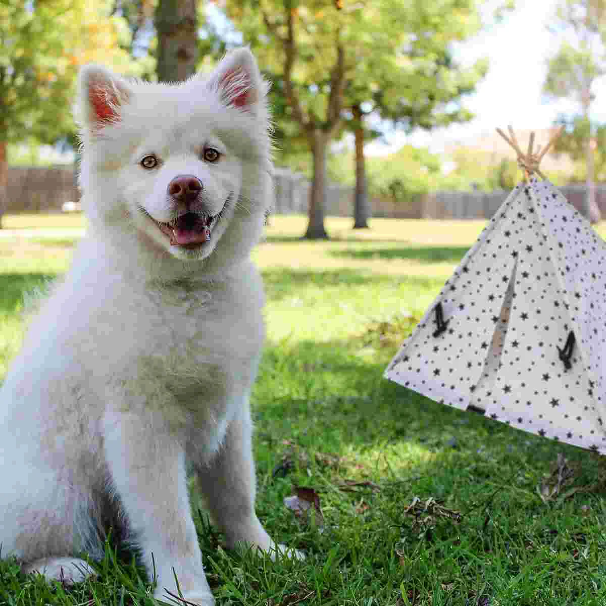 

Pet Tent Outdoor Mini Tent For Cage Breathable Bed Small Cat and House Wooden Portable