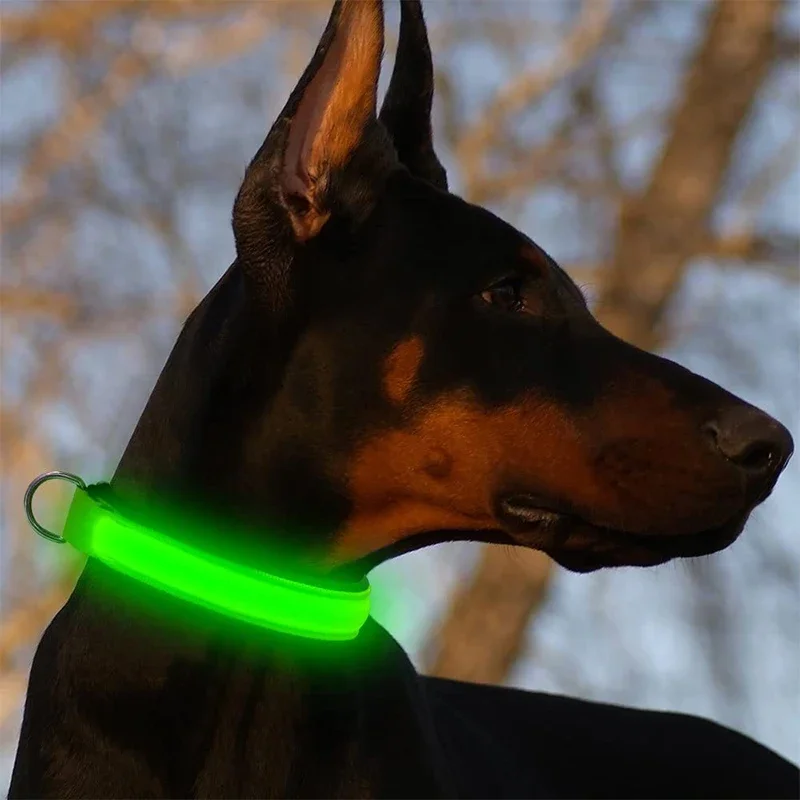 LED Dog Collar Pet Necklace For Small Dogs Cat