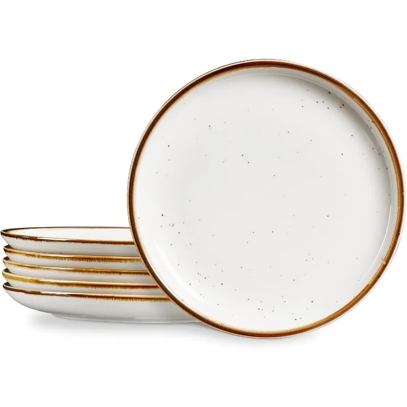 Plates Set 10.5 inch Large Dinner Plates for Salad Dessert Ceramic Serving Plate Set of 4, Microwave and Dishwasher Safe