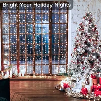 Remote Control USB Fairy Lights 3 4 6 Meters LED Curtain String Lights for Christmas Home Bedroom Decoration Festive Party 5