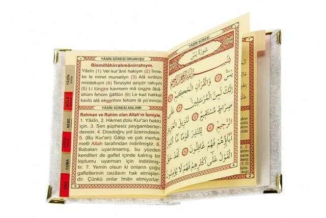 Рисунок 2 - Экономичная книга