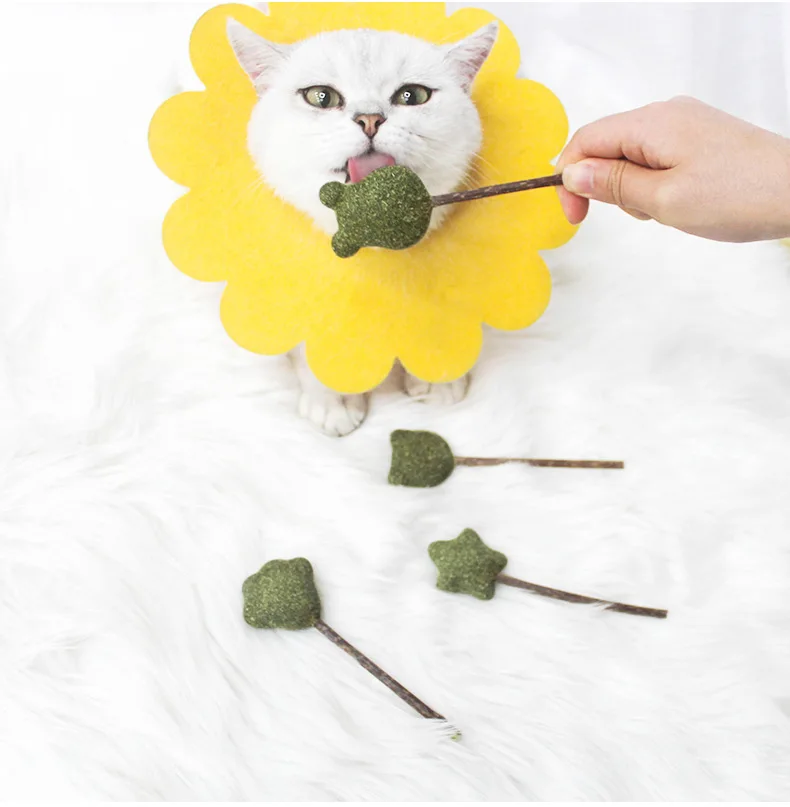 

Cat Funny Mint Natural Muitan Stick Catnip Safety Edible Cute Shape Pet Fresh Toys Lollipop Ball Kitten Toy Clean Teeth Supplies