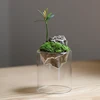 Clear Glass Cylinder Vases,Plant Vase for Rustic Home Decor Formal Dinners Party Event Hurricane 4