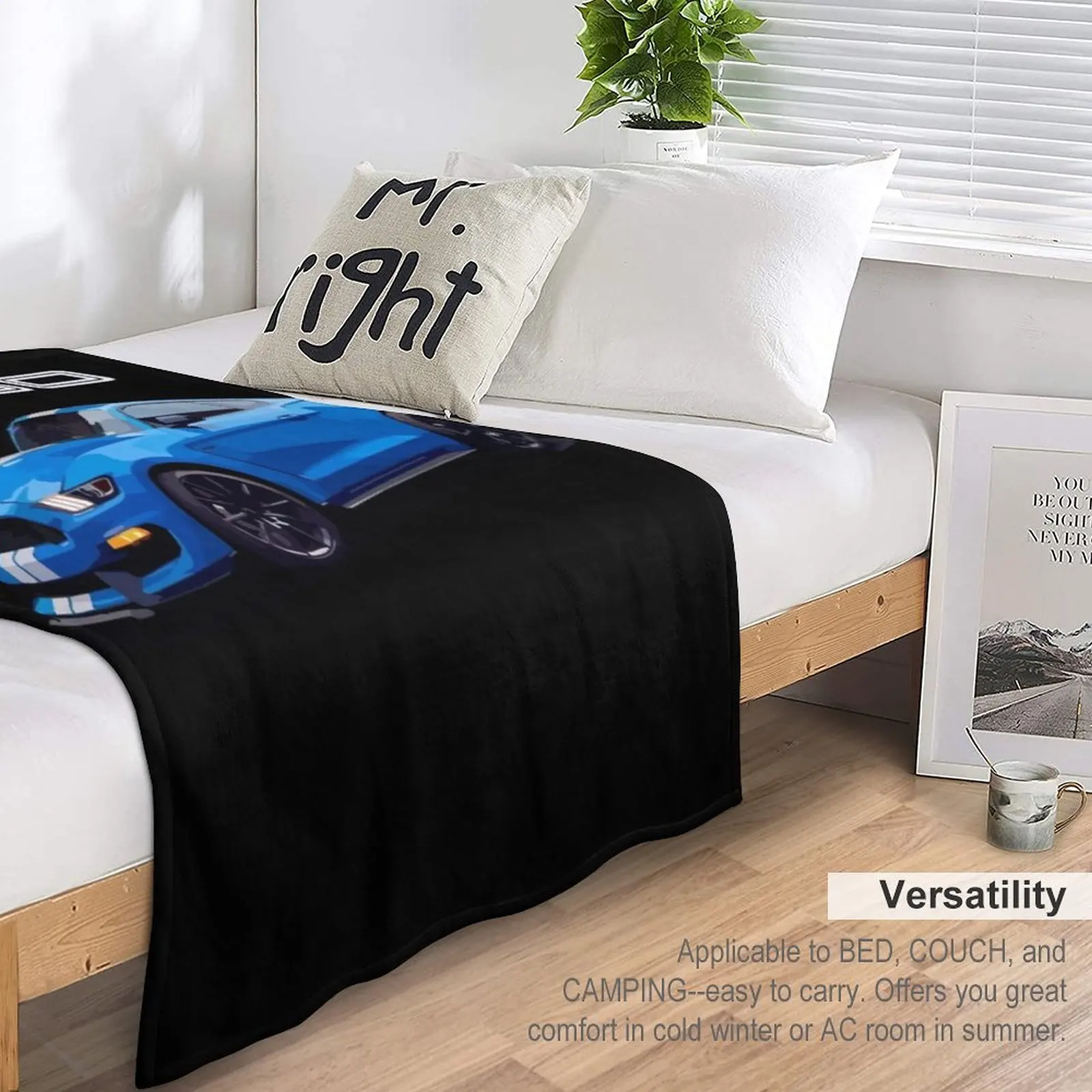 2017 ���� ���� GT350 ������ ���, ���� ���, ħ�� Ŀ�� ���, ���� ���