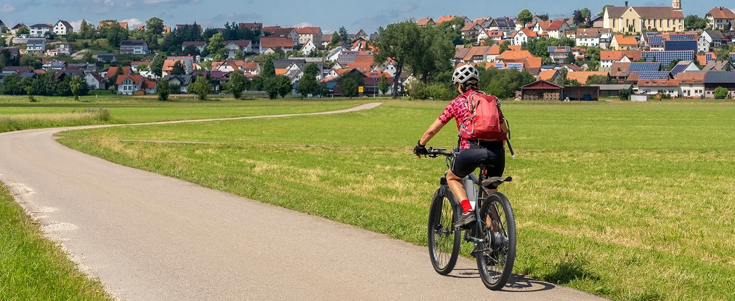 ebikes for adults