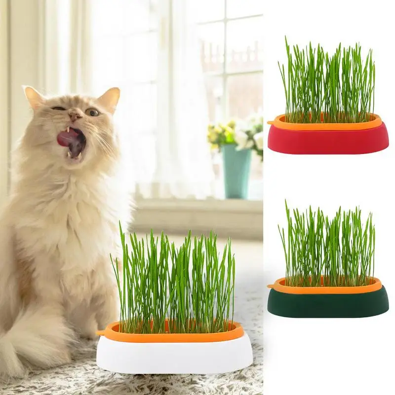 

Pet Catgrass Hydroponic Set Grass Planting Box Self Watering Cat Grass Kit Cat Grass Planter Sprouting Tray For Indoor Outdoor