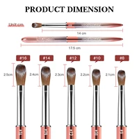 Kolinsky Hair Acrylic Nail Brush, Clear Crystal Handle  Oval Shaped Acrylic Nail Brushes, Acrylic Powder Brush Set 2