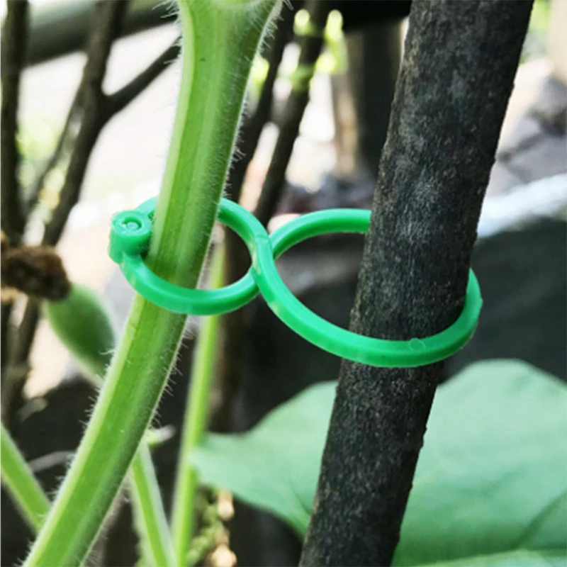 

Plastic Garden Vine Strapping Clips Tie Plant Bundled Buckle Ring Holder Garden Tomato Plants Stand Support Tool
