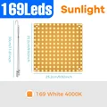 Sunlight-300W