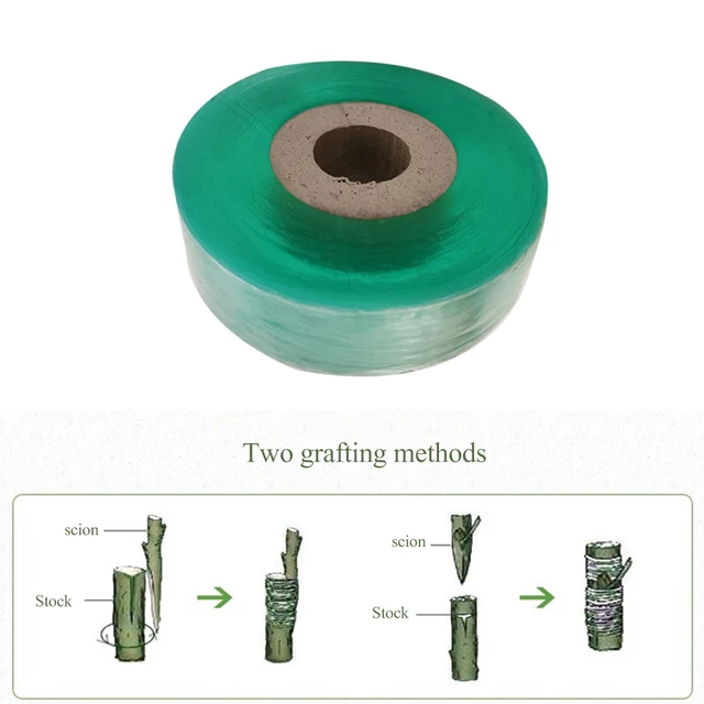 Óvoda Oltó Szalag Nyújtható Ön Ragaszék A Kerti Fa Palánta Magvak Virágos Metszőhöz - Image 4