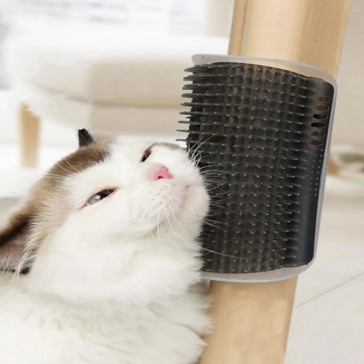 Pet Cat Massage Brush Corner Scratcher Hair Removal Grooming Comb for Kittens