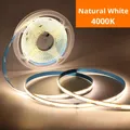 Natural White