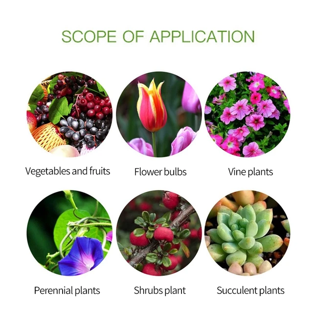 50 Darabos Műanyag Virágcserép -Termesztés Zamatos Növényekhez Kis Egyszerű Ültetési Palánták Edénye Megvastagodott Óvodai Edények - Image 6