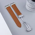 Brown Silver