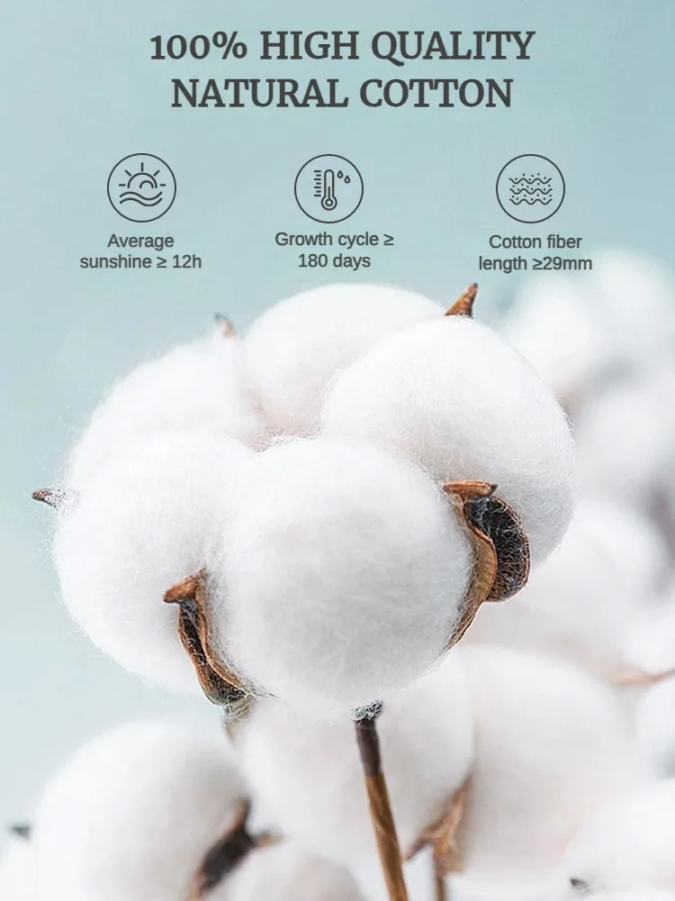 ���� ��ư Ÿ�� �̺�, ���� ��ī�� ���� ���, ħ�� ���� ħ�뺸, �繫�� ���� ���, ��, 3 ���̾�