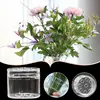 Spiral Ikebana Stem Holder Clear Spiral Flower Stem Stand DIY Floral Art Accessory Flower Vase Holder Ring for Party Wedding 2