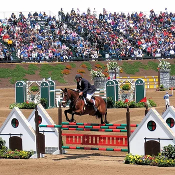 Custom Durable Horse Show Jumps 6