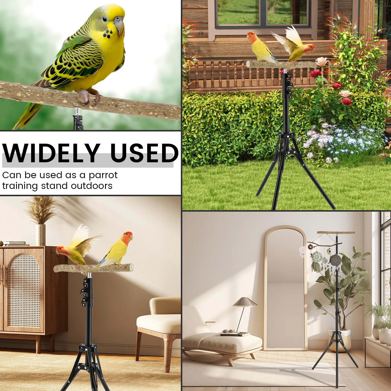 Wood Bird Training Perch Stand Height Adjustable Bird Perch Toys Indoor Outdoor Versatile Bird Parrot Play Training Station Pole