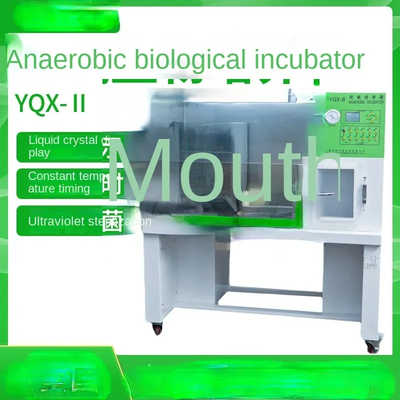 YQX-II анаэробный бактериологический инкубатор