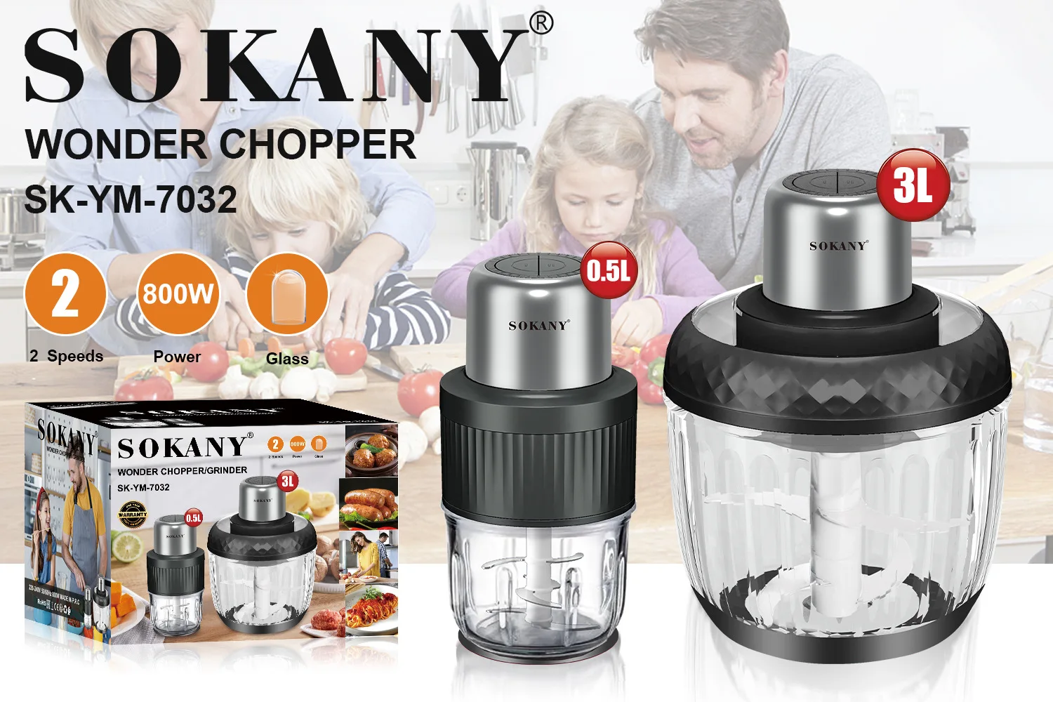 Food Processor, Electric Food Chopper with 2 Glass Bowls , 800W Copper  Motor, for Meat, Vegetables, and Baby Food