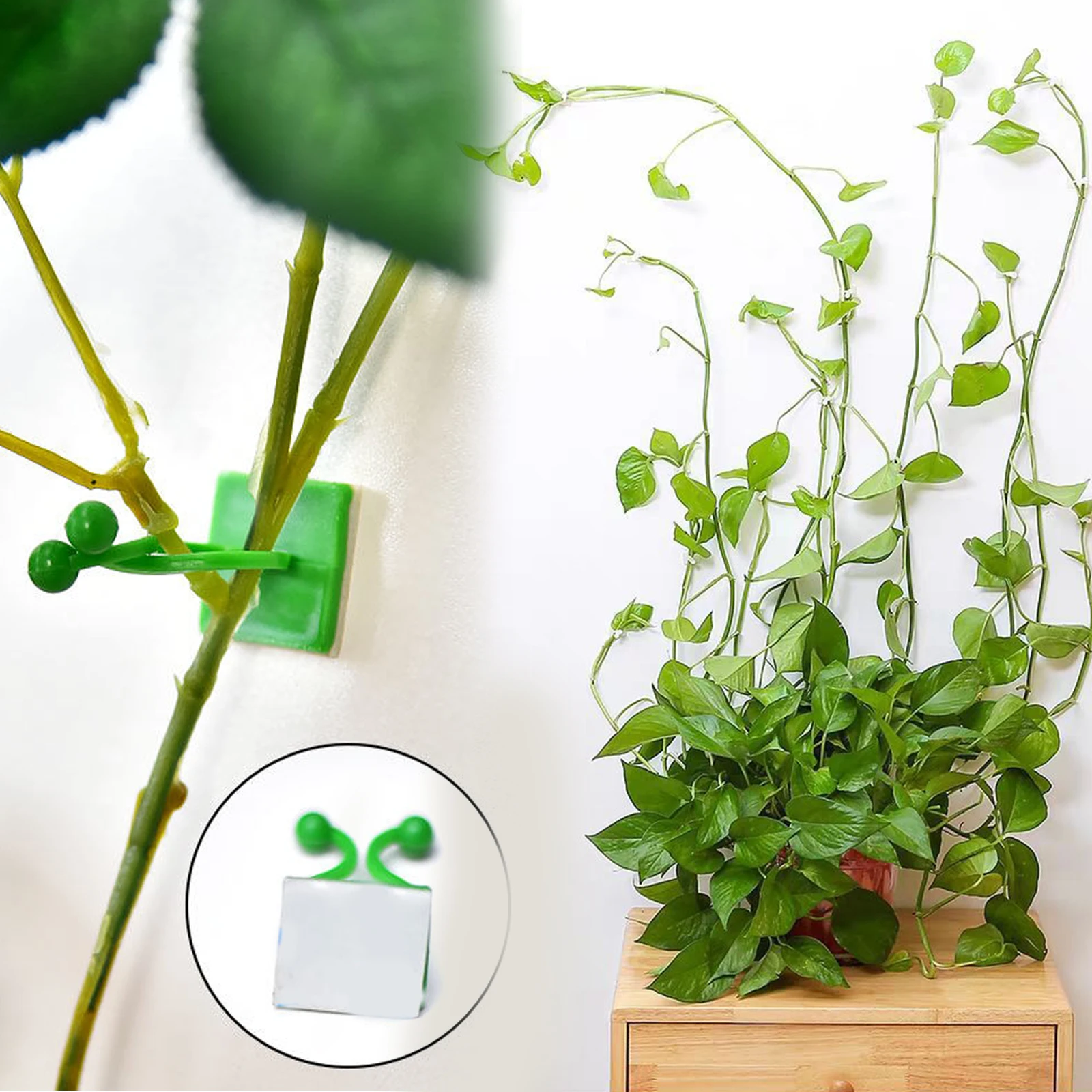Plant Climbing Fixture Clips 10-100Pcs Plant Vine Climbing Wall Fixer Self Adhesive Hook Vines Holder