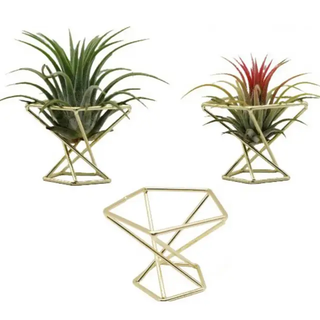 3 db Compact Tillandsia Display Állvány Korrózióellenes Páfrány Növényi Innovatív Széles Körben Használja A Légi Növények Tartó Kerti Dekorációját - Image 4