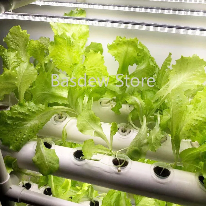 

The indoor plant horticulture vertical hydroponic system includes 108 wells and 3 layers of soilless soil for plant light growth
