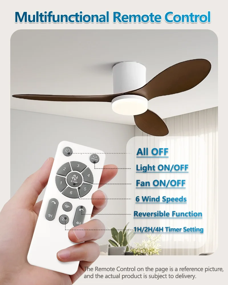 Fan Light Image 10