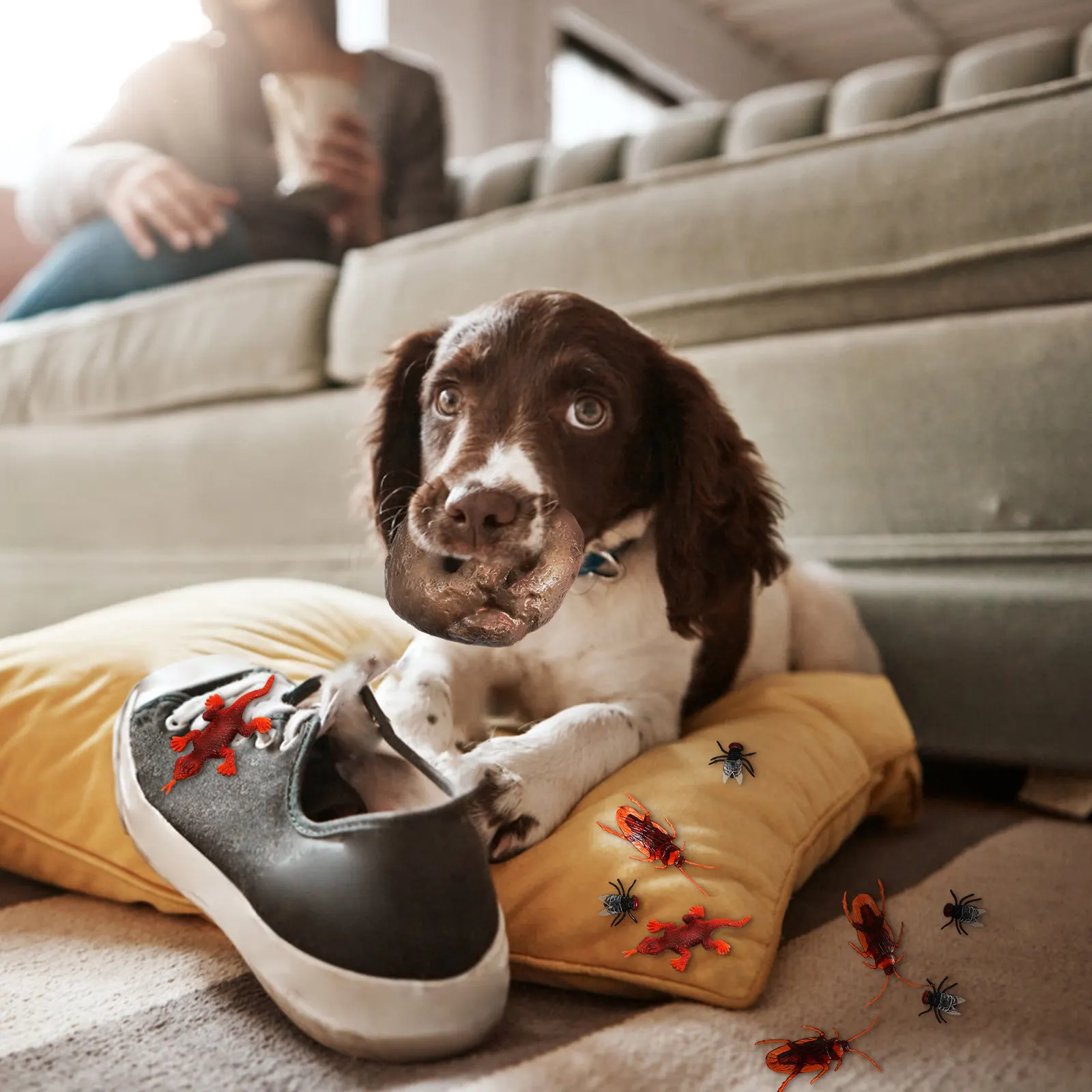 1세트 시뮬레이션 가짜 똥과 도마뱀 장난 키트, 할로윈 장난 소품, 식탁 장 선물 상자