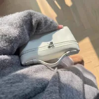 Sac à bandoulière en grain de litchi, sens de niche Premium, boîte à déjeuner simple, sac pour femmes, mini sacs à bandoulière portables exquis 3