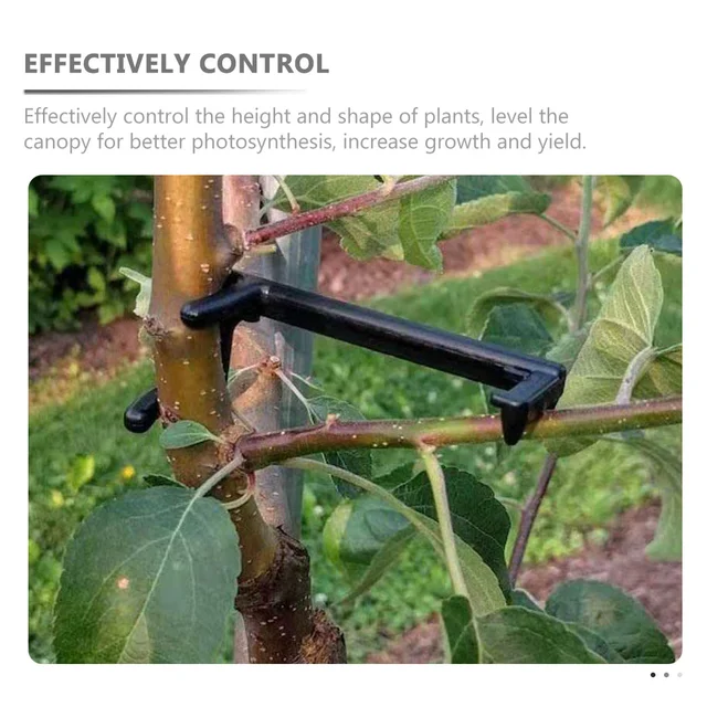 10 Pcs Fruit Brancher Spreaser Bender Tree Training Control Clips Támogatja A Karcsú Tartozékok Alaki Eszközét - Image 3