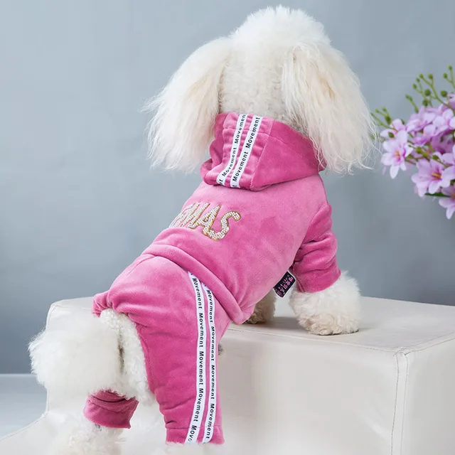 Dog Clothes for Small Dogs 1