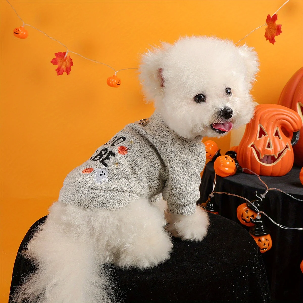Halloween Pumpkin Ghost Pet Pullover 3