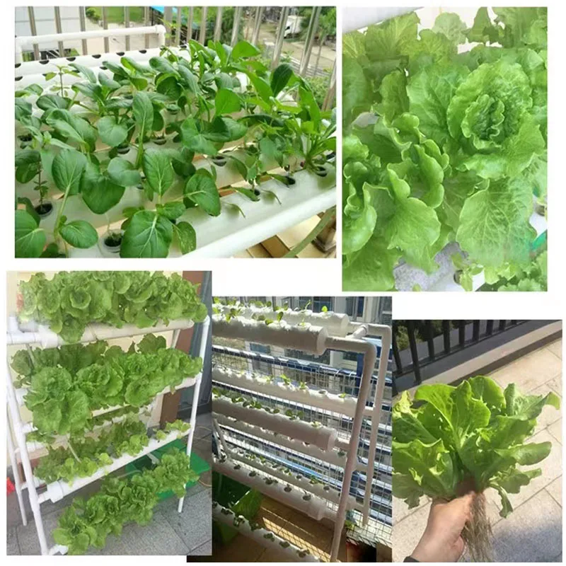 Indoor Greenhouse Hydroponics 108 grid growing kits Plant growth systems for leafy vegetables With Water Pump and Accessories