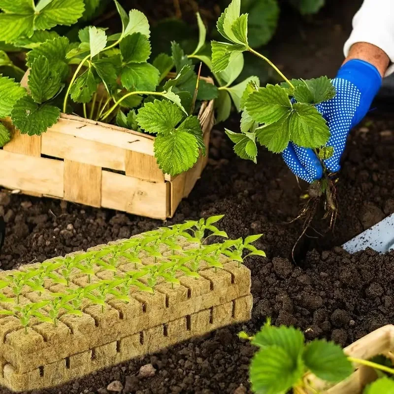 Hydroponic Grow Media Cubes Stonewool Plant Cube Soilless Substrate Seeded Planting Spong Plug Seedling Block Garden Supplies