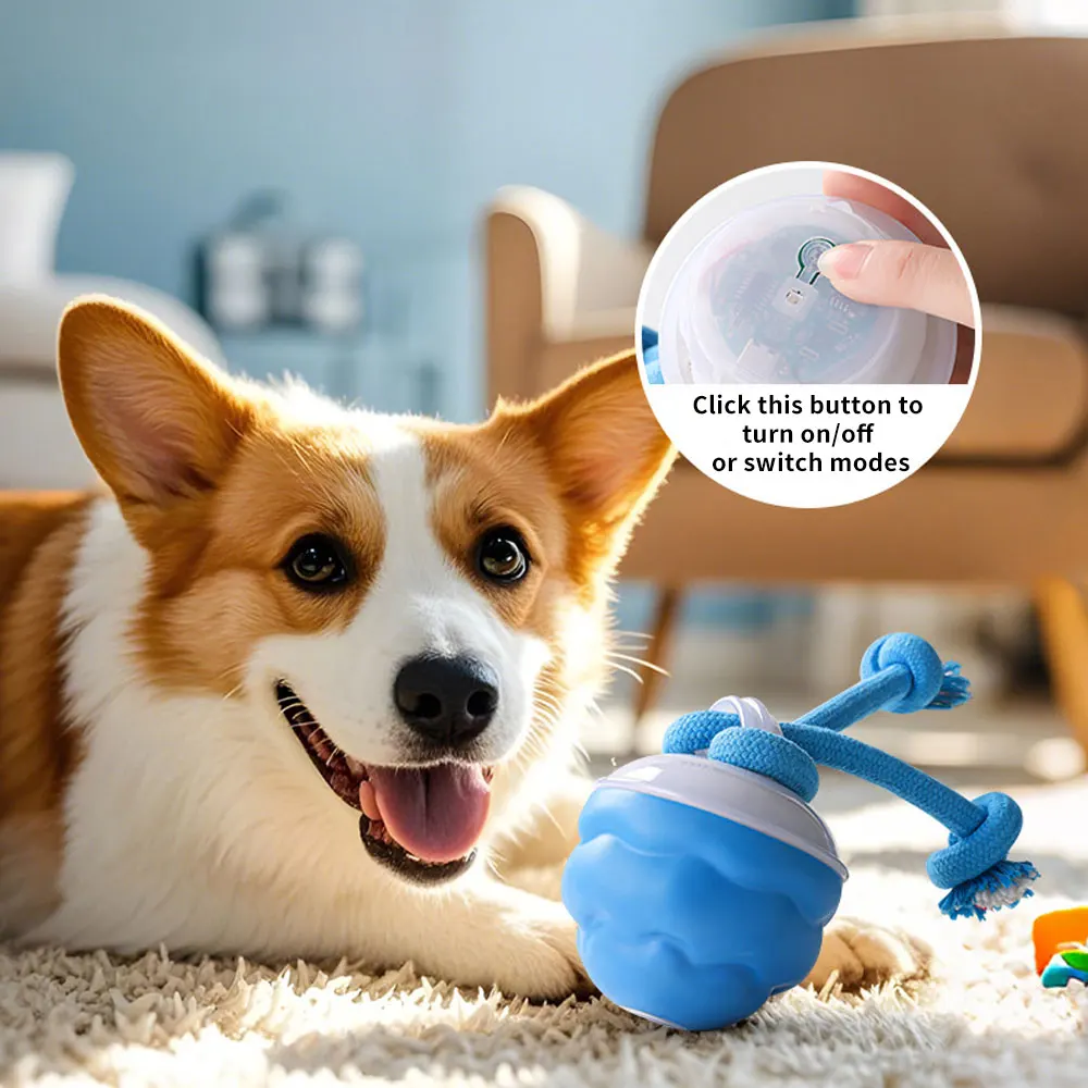 Interactive Jumping Ball Dog Toy - Power Tail Edition