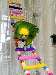 Vibrant Wooden Bird Playground with Ladder & Swing - Ideal - M (MULTI)