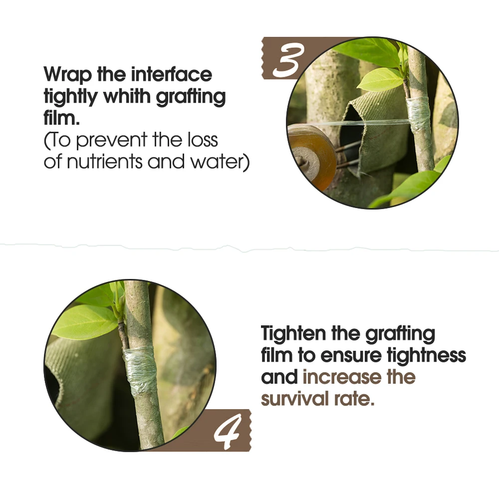 Grafting Tape PE Self-adhesive Stretchable Clear Repair Film for Tree Plant Seedlings Vine Tomato Planting