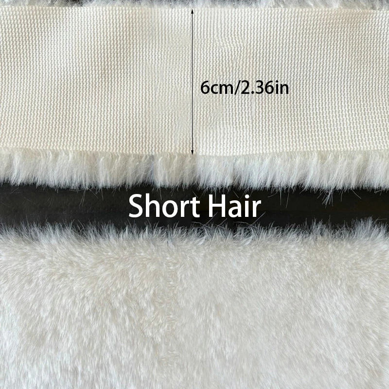 B 6cm