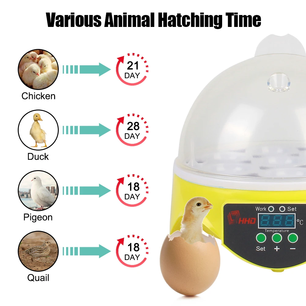 Brooder Mini Egg Incubator for Chicken Duck Bird Pigeon Farm Hatchery Poultry Incubator Adjustable Digital Temperature 7 Egg